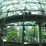 California Academy of Sciences