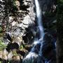 Grizzly Falls