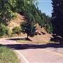 Old McCloud Rd.