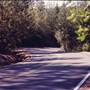 Jones Valley Rd. Shasta