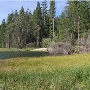 Bass Lake / Crane Valley Reservoir