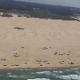 Oceano Dunes State Vehicular Recreation Area (SVRA) / Pismo State Beach (SB)