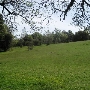 Spennymoor Ranch