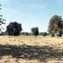 Butte County Fairgrounds - 3rd DAA