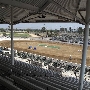 Orange County Fair & Event Center - 32nd DAA