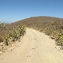 Chino Hills State Park (SP)