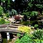 Japanese Tea Garden - San Mateo Central Park & Recreation Center