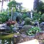 Japanese Tea Garden - San Mateo Central Park & Recreation Center