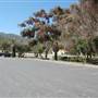 Sycamore Cove State Beach (SB) & Campground @ Point Mugu State Park (SP) - CFC