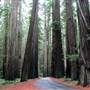 Mattole Road (2)