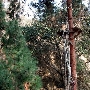 Camp Hollywoodland