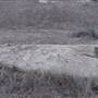 Upland Game Hunting Area - California Department of Fish and Wildlife (CDFW)