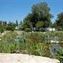 California State University, Northridge - CSUN (All Buildings & Facilities)