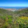 San Bruno Mountain State Park (SP)