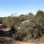 Santa Rosa Plateau Ecological Reserve - Riverside County & California Department of Fish & Wildlife (CDFW)