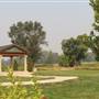 Anselmo Vineyard