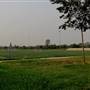 Big League Dreams (Sports Complex)