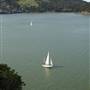 Angel Island State Park (SP)