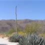 Anza-Borrego Desert State Park (SP)