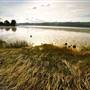 Benicia State Recreation Area (SRA)