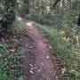 Butano State Park (SP)