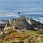 Carmel River State Beach (SB)