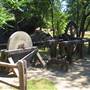 Columbia State Historic Park (SHP)