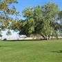 Folsom Lake State Recreation Area (SRA)