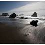 Goat Rock State Beach (SB)