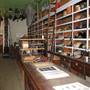 Malakoff Diggins State Historic Park (SHP)