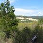 Malakoff Diggins State Historic Park (SHP)