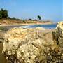 Carpinteria State Beach (SB)