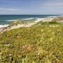 Zmudowski State Beach (SB)