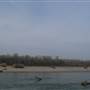 Woodson Bridge State Recreation Area (SRA)