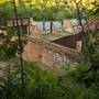 Shasta State Historic Park (SHP)