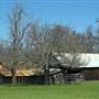 Anderson Marsh State Historic Park (SHP)