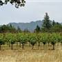 Bothe-Napa Valley State Park (SP)
