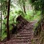 Grizzly Creek Redwoods State Park (SP)