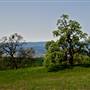 Henry W. Coe State Park (SP)