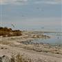 Salton Sea State Recreation Area (SRA)