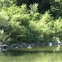 Standish-Hickey State Recreation Area (SRA)