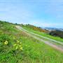 San Bruno Mountain State Park (SP)