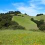 Mount Tamalpais State Park (SP)