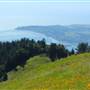 Mount Tamalpais State Park (SP)
