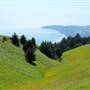 Mount Tamalpais State Park (SP)