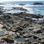 Bean Hollow State Beach (SB)