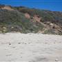El Pescador State Beach @ Robert H. Meyer Memorial State Beach (SB) - CFC