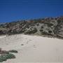 Point Mugu State Park (SP) – Sandy Dune