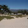 Carpinteria State Beach (SB)