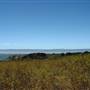 Año  Nuevo State Park (SP)